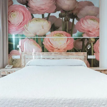 酒店 萨格塔酒店 3*